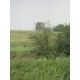 Pilnas sodybų sutvarkymas